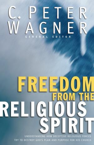 Cover of the book Freedom from the Religious Spirit by Robert K. Johnston
