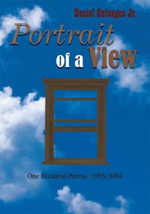 Cover of the book Portrait of a View by Ally Carson