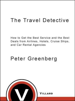 Cover of the book The Travel Detective by William Bebb