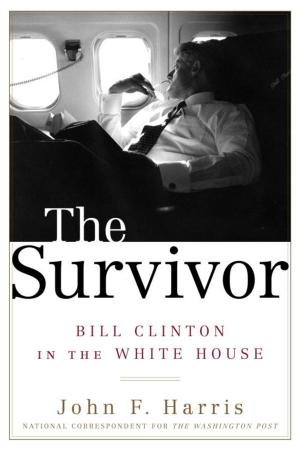 Cover of the book The Survivor by Christian Cameron