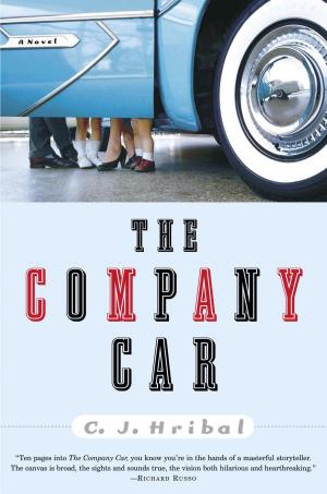Cover of the book The Company Car by Brenda Rothert