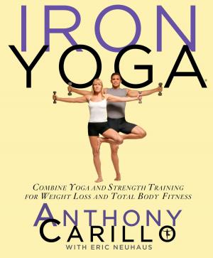 Book cover of Iron Yoga