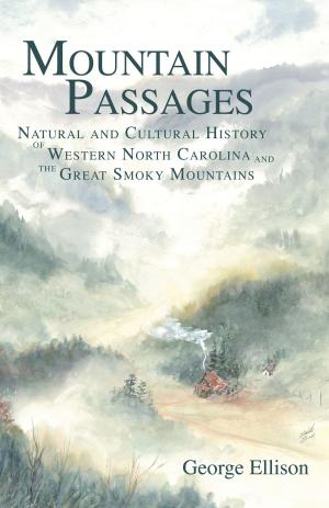 Book cover of Mountain Passages