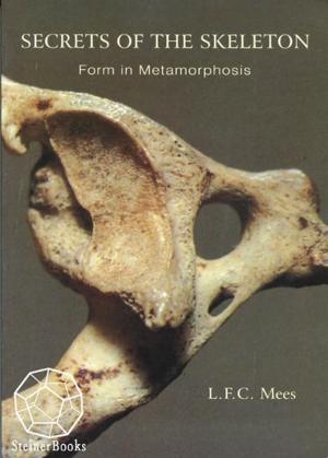 Cover of the book Secrets of the Skeleton: Form in Metamorphosis by Georg Kühlewind