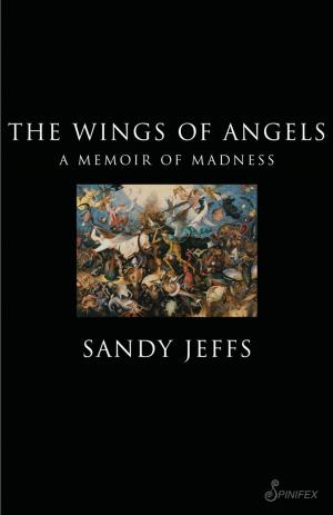 Cover of the book The Wings of Angels by Sheila Jeffreys