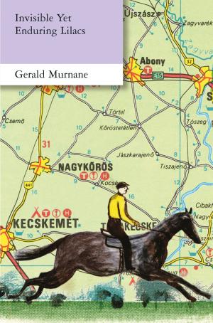 Cover of the book Invisible Yet Enduring Lilacs by Gerald Murnane