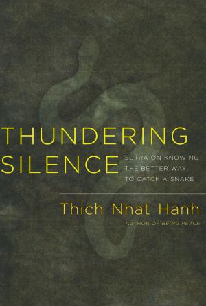 Cover of the book Thundering Silence by Tsoknyi Rinpoche