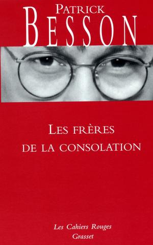 Cover of the book Les frères de la consolation by François Jullien
