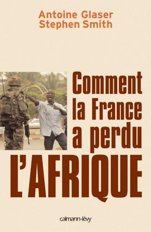 Book cover of Comment la France a perdu l'Afrique