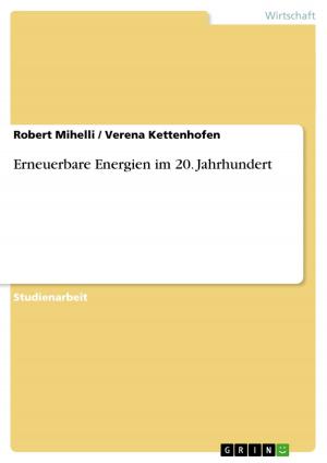 Cover of the book Erneuerbare Energien im 20. Jahrhundert by Yannah Holzderber, G. Ackermann