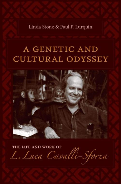 Cover of the book A Genetic and Cultural Odyssey by Linda Stone, Columbia University Press