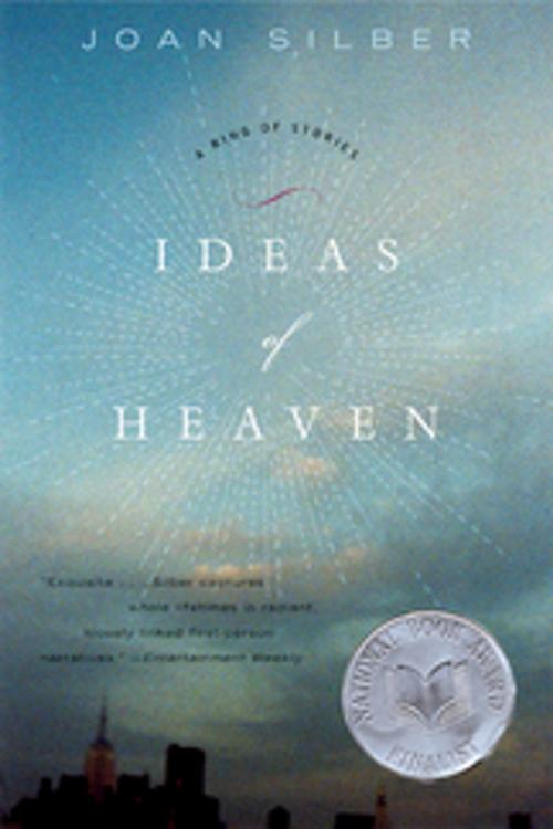 Cover of the book Ideas of Heaven: A Ring of Stories by Joan Silber, W. W. Norton & Company