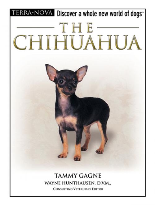 Cover of the book The Chihuahua by Tammy Gagne, TFH Publications, Inc.