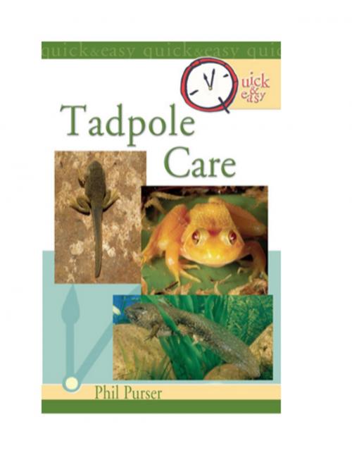 Cover of the book Quick & Easy Tadpole Care by Philip Purser, TFH Publications, Inc.