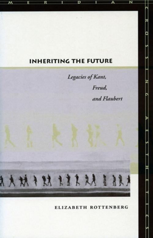 Cover of the book Inheriting the Future by Elizabeth Rottenberg, Stanford University Press