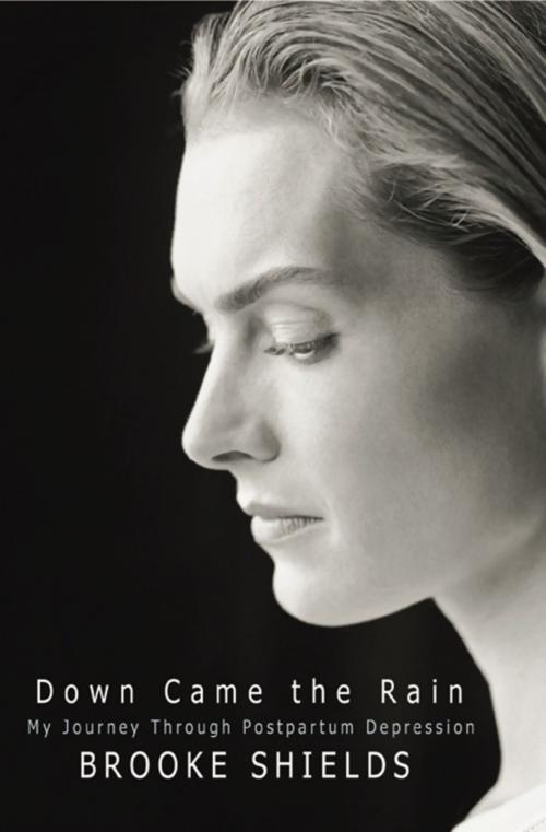 Cover of the book Down Came the Rain by Brooke Shields, Hachette Books