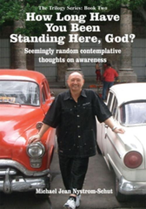 Cover of the book How Long Have You Been Standing Here, God? by Michael Jean Nystrom-Schut, AuthorHouse