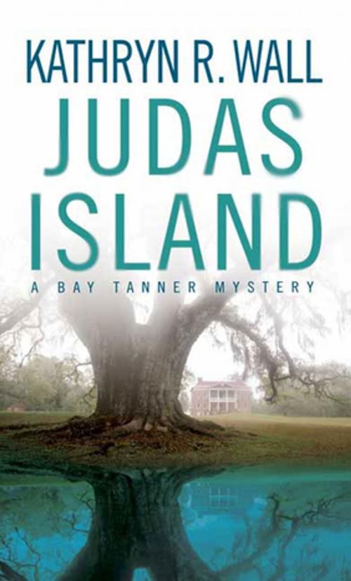 Cover of the book Judas Island by Kathryn R. Wall, St. Martin's Press