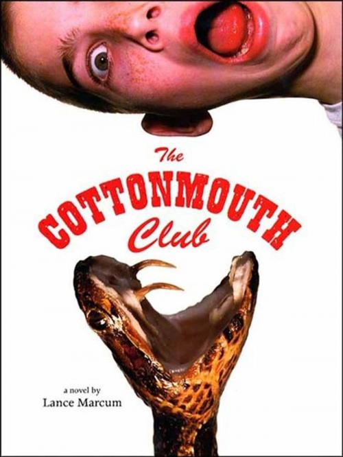 Cover of the book The Cottonmouth Club by Lance Marcum, Farrar, Straus and Giroux (BYR)