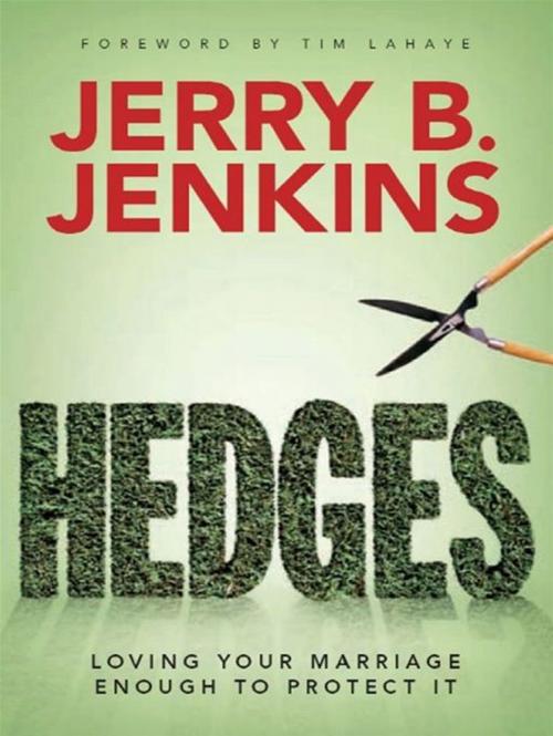 Cover of the book Hedges by Jerry B. Jenkins, John Perrodin, Crossway