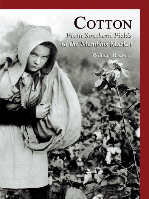 Cover of the book Cotton by William Bearden, Arcadia Publishing Inc.