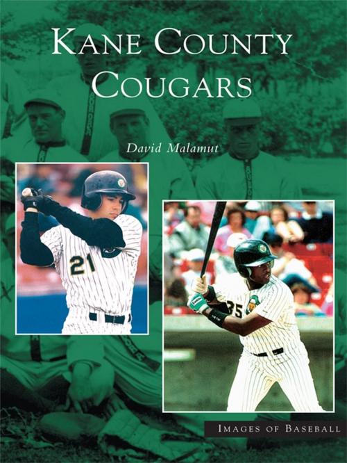 Cover of the book Kane County Cougars by David Malamut, Arcadia Publishing Inc.