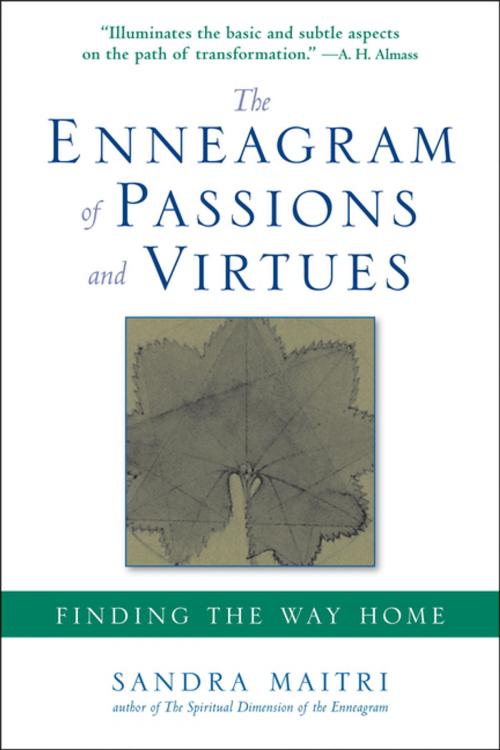 Cover of the book The Enneagram of Passions and Virtues by Sandra Maitri, Penguin Publishing Group