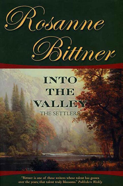 Cover of the book Into the Valley by Rosanne Bittner, Tom Doherty Associates