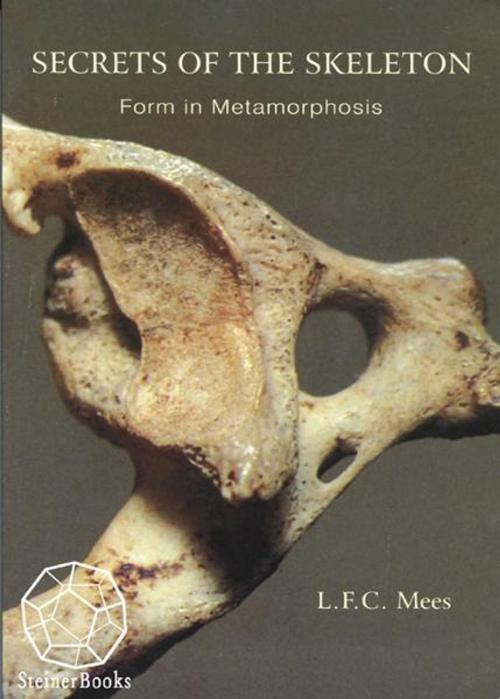 Cover of the book Secrets of the Skeleton: Form in Metamorphosis by L. F. C. Mees, Steinerbooks