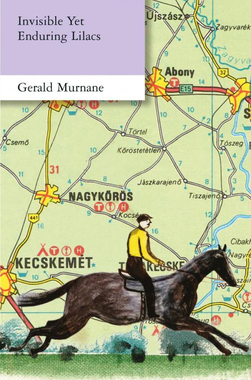 Cover of the book Invisible Yet Enduring Lilacs by Gerald Murnane, Giramondo Publishing