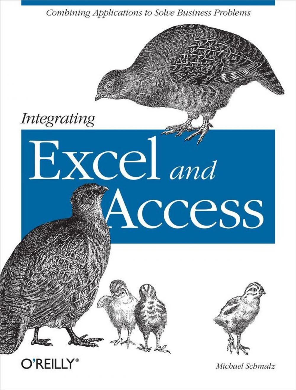 Big bigCover of Integrating Excel and Access