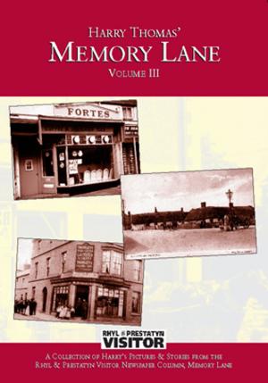 Book cover of Memory Lane Volume 3