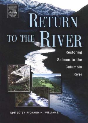 Cover of the book Return to the River by John Strand, Jonathan Gines, Derrick Bennett, Max Schubert, Andrew Hay