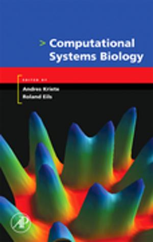 Cover of the book Computational Systems Biology by Daniel S. Balint, Stephane P.A. Bordas