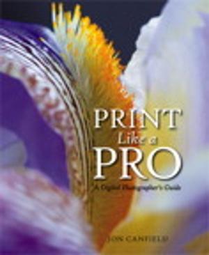 Book cover of Print Like a Pro
