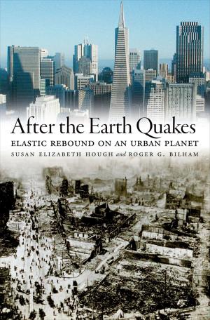 Cover of the book After the Earth Quakes by C. Victor Fung
