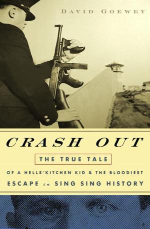 Cover of the book Crash Out by Dick Chimney