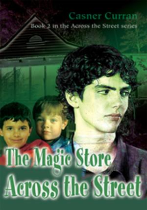 Book cover of The Magic Store Across the Street