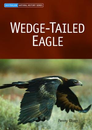 Cover of the book Wedge-tailed Eagle by S Shattuck
