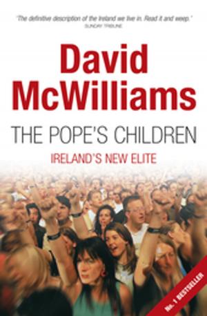 Cover of the book David McWilliams' The Pope's Children by Anne Chambers