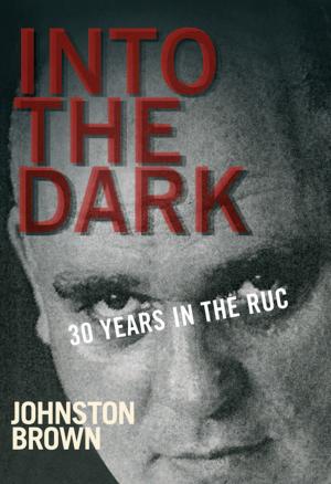Cover of the book Into the Dark by Dr Tony Humphreys