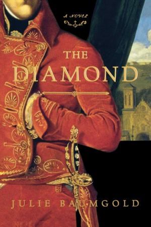 Cover of the book The Diamond by Richard Paul Evans