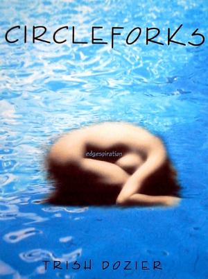 Cover of the book Circleforks by Debra Laino