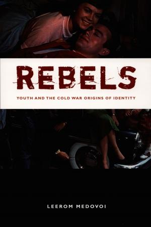 Cover of the book Rebels by Jocelyn H. Olcott, Robyn Wiegman, Inderpal Grewal