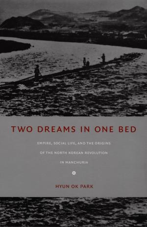 Cover of the book Two Dreams in One Bed by Michael James Roberts