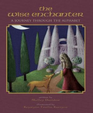 Cover of the book Wise Enchanter by Fiona McShane