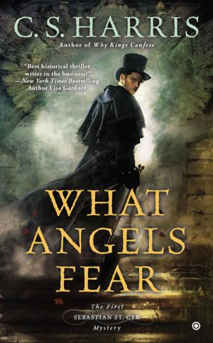 Cover of the book What Angels Fear by Omar Drake