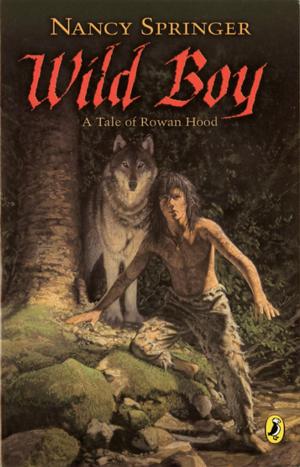 Cover of the book Wild Boy by Matthew McElligott, Larry David Tuxbury