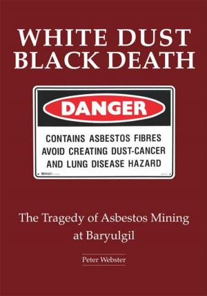 Cover of the book White Dust Black Death by Raymond Van Zleer