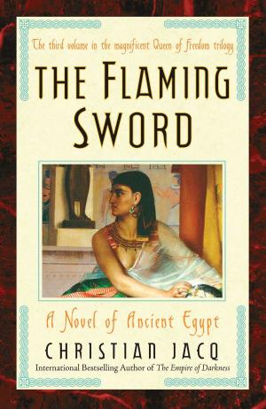Cover of the book The Flaming Sword by Sean Meshorer